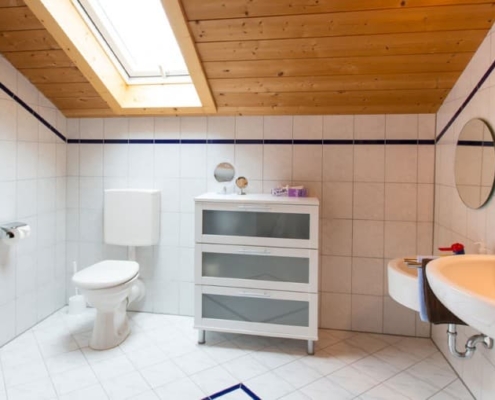Vogelnest Dusche + WC + Kinderwaschbecken