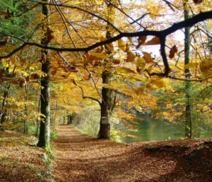 Schloss Weiher