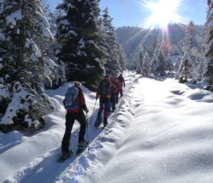 Schneeschuhwandern