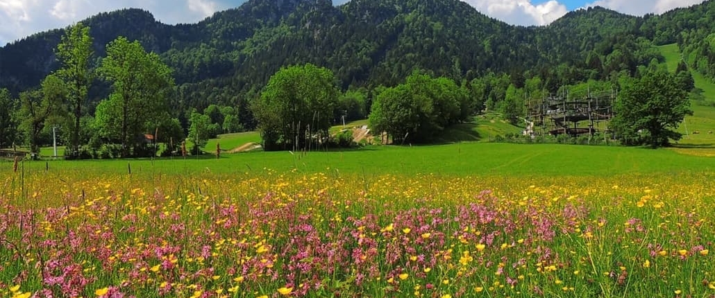 Brauneckblick Aussicht Sommer