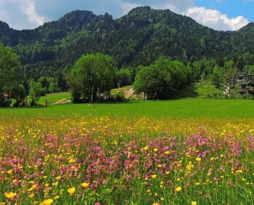 Brauneckblick Aussicht Sommer