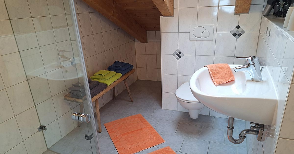 Panoramawohnung – Dusche/WC 1 Panoramawohnung – Dusche/WC 1