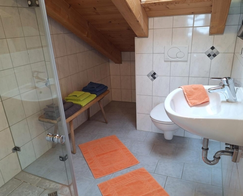 Panoramawohnung – Dusche/WC 1 Panoramawohnung – Dusche/WC 1