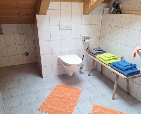 Panoramawohnung – Dusche/WC 2 Panoramawohnung – Dusche/WC 2