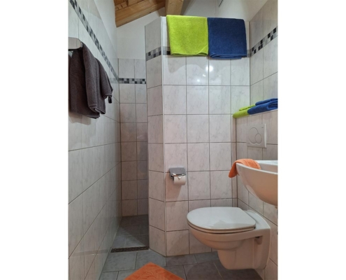 Panoramawohnung – Dusche/WC 3 Panoramawohnung – Dusche/WC 3