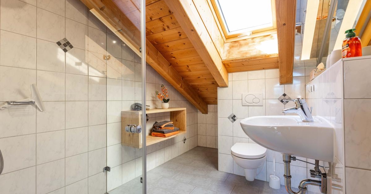 Bad mit Dusche und WC der Ferienwohnung Panorama Blick