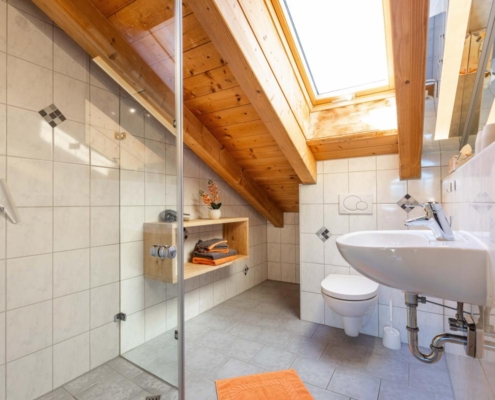 Bad mit Dusche und WC der Ferienwohnung Panorama Blick